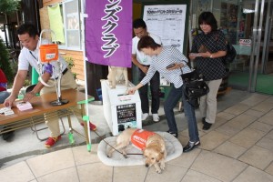 盲導犬育成のための募金、ありがとうございました。