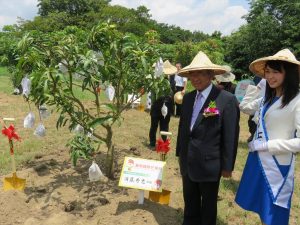 マンゴーの木を植樹する須藤市長