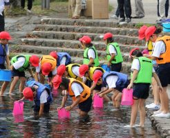 神田川湧水自然観察会